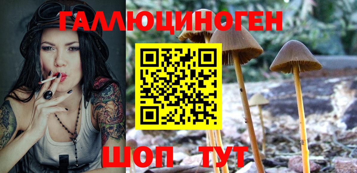 Псилоцибиновые грибы Cubensis  Вход с VPN  Реутов 